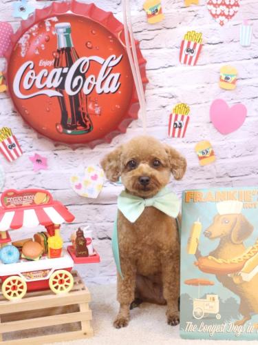 20230921リッチくん